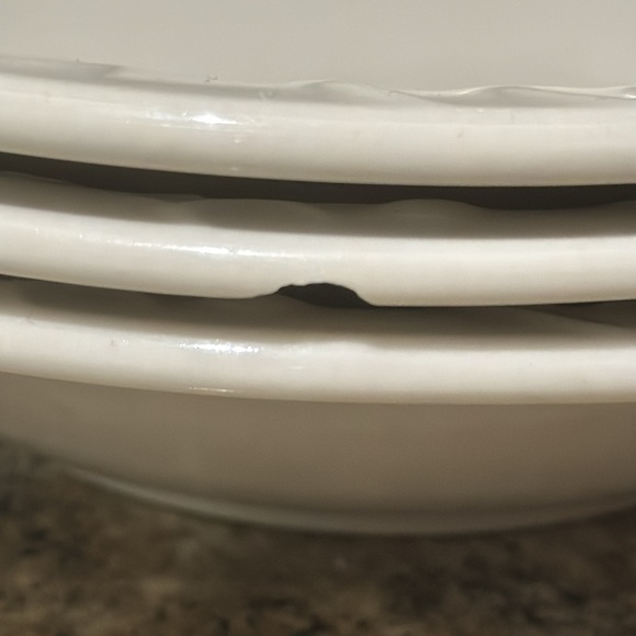 Tanglewood By CELLAR Plates (10 piece) - Picture 9 of 9